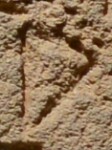 A close-up of an instance of allograph Δ type1.2 inscribed on object ISic001087