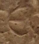 A close-up of an instance of allograph Ε type3.1 inscribed on object ISic001076