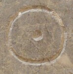 A close-up of an instance of allograph Θ type1.4 inscribed on object ISic000823