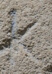 A close-up of an instance of allograph Κ type3.1 inscribed on object ISic001090