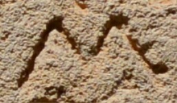 A close-up of an instance of allograph Μ type2.1 inscribed on object ISic001087