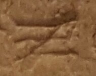 A close-up of an instance of allograph Ξ type2.2 inscribed on object ISic001076