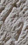 A close-up of an instance of allograph Ο type4 inscribed on object ISic000634