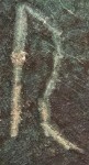 A close-up of an instance of allograph Ρ type2.4 inscribed on object ISic030002