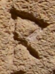 A close-up of an instance of allograph Ρ type2.5 inscribed on object ISic001087