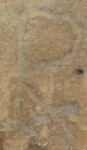 A close-up of an instance of allograph Ρ type2 inscribed on object ISic001568
