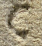 A close-up of an instance of allograph   inscribed on an object