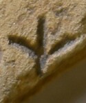 A close-up of an instance of allograph Ψ type2 inscribed on object ISic002754