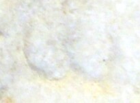 A close-up of an instance of allograph   inscribed on an object