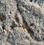 A close-up of an instance of allograph   inscribed on an object