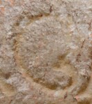 A close-up of an instance of allograph   inscribed on an object