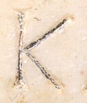 A close-up of an instance of allograph   inscribed on an object