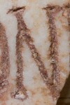 A close-up of an instance of allograph   inscribed on an object