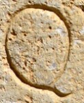 A close-up of an instance of allograph   inscribed on an object