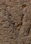 A close-up of an instance of allograph   inscribed on an object
