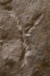 A close-up of an instance of allograph   inscribed on an object