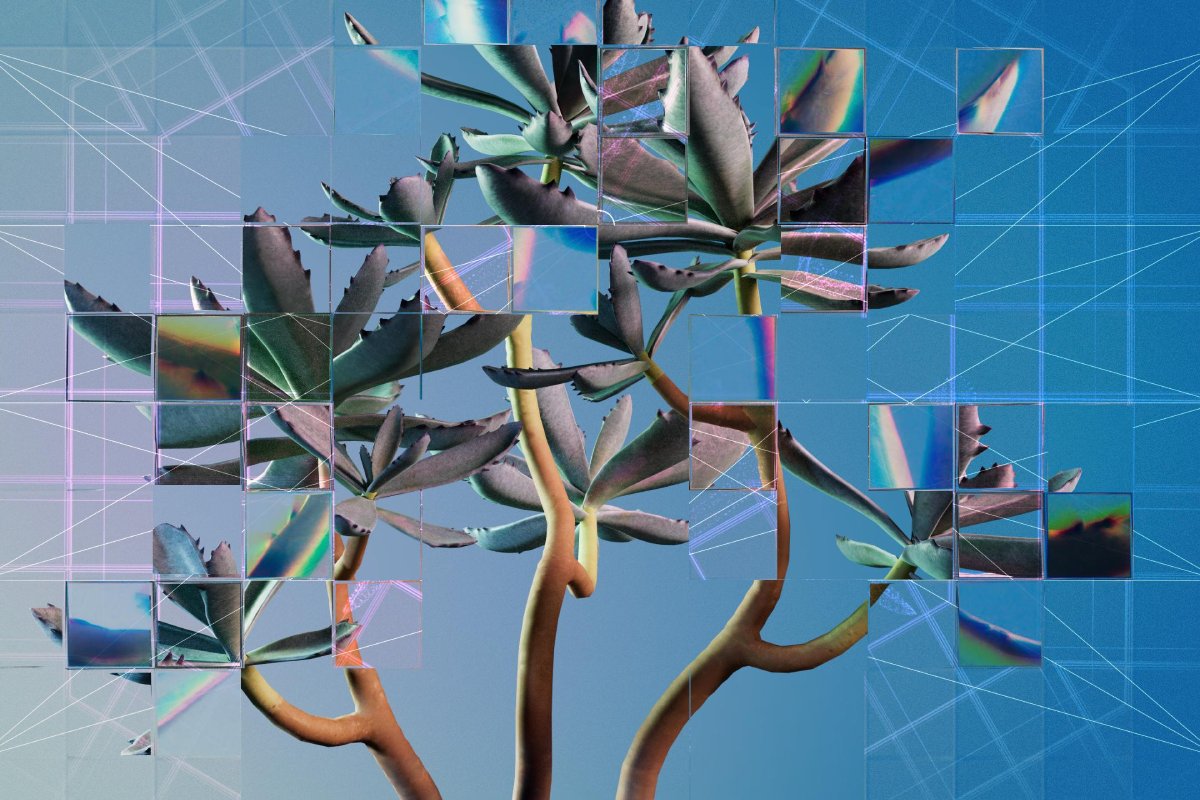A photographic rendering of a succulent plant seen through a refractive glass grid, overlaid with a diagram of a neural network
